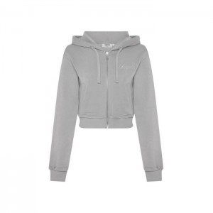 Dámské Mikina s Kapucí Trapstar TS-Star Silver Satin Applique Hoodie Šedé CZ | AA50-551