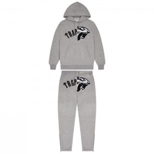 Pánské Tepláky Trapstar Arch Shooters Hoodie Šedé CZ | FX63-579