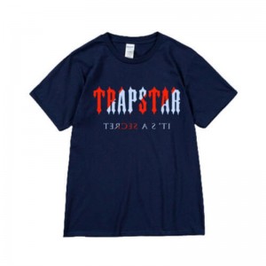 Pánské Tričko Trapstar It's a Secret Krátké Sleeve Blankyt CZ | ZL20-837